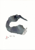 1-1381-2025_eye_spy