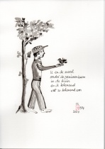 12-1354-2024_u_en_de_merel