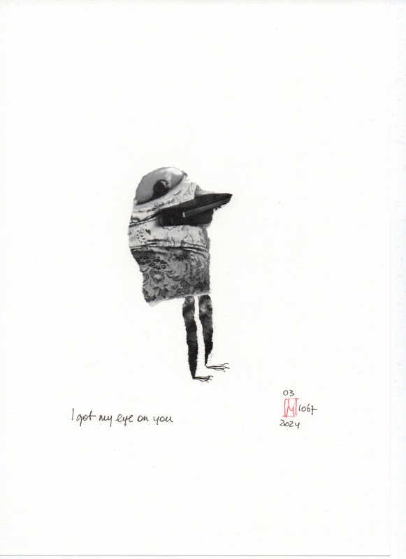 03-1067-2024__i_got_my_eye_on_you