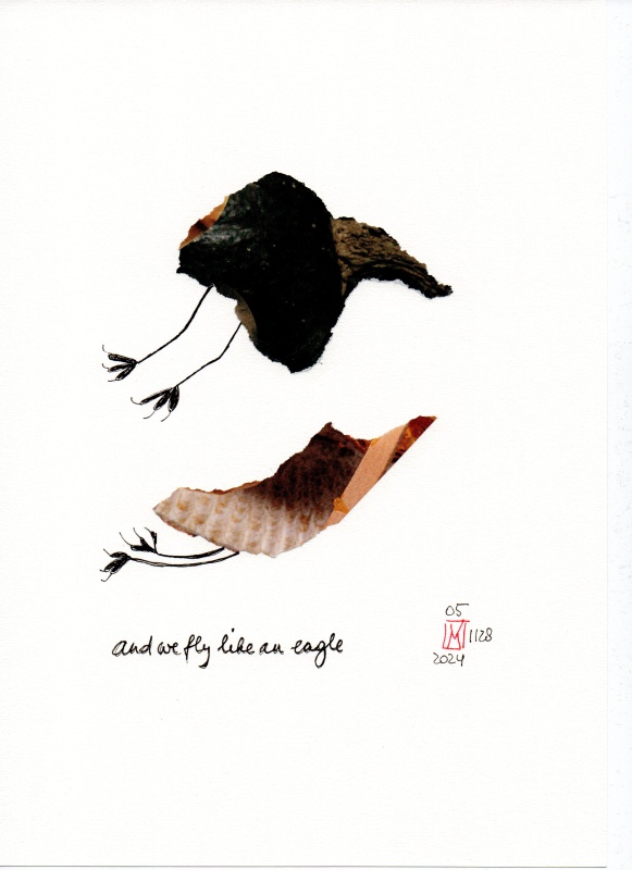 05-1128-2024_and_we_fly_like_an_eagle