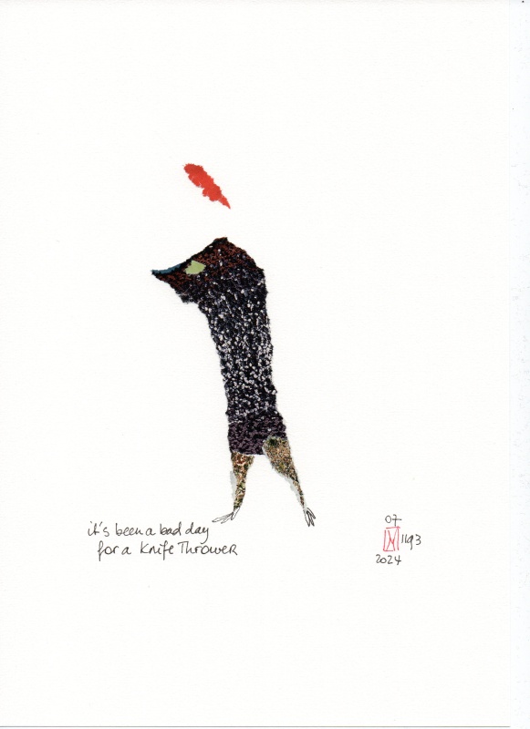07-1193-2024__its_been_a_bad_day_for_a_knife_thrower