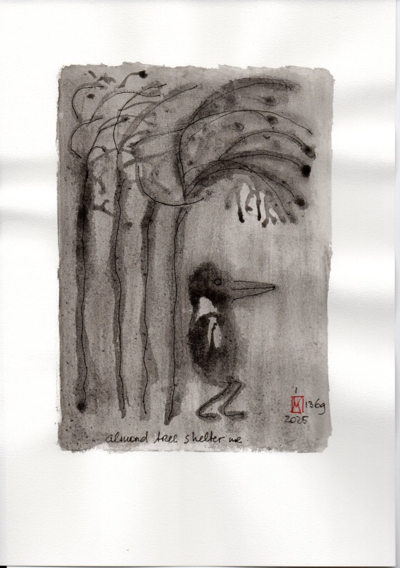 1-1369-2025_almond_tree_shelter_me