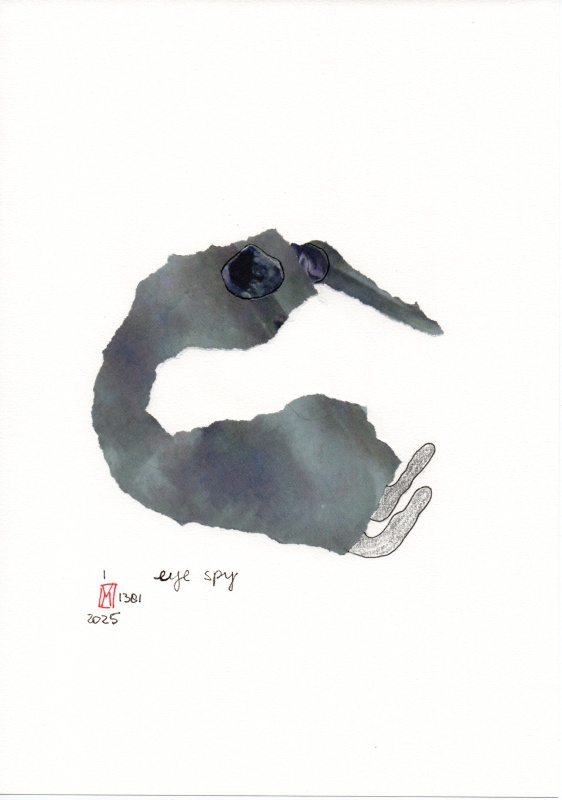 1-1381-2025_eye_spy