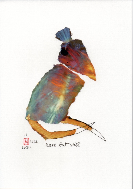 11-1332-2024_rare_but_still