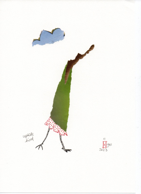 11-941-2023_uptide_bird