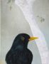 Merelman